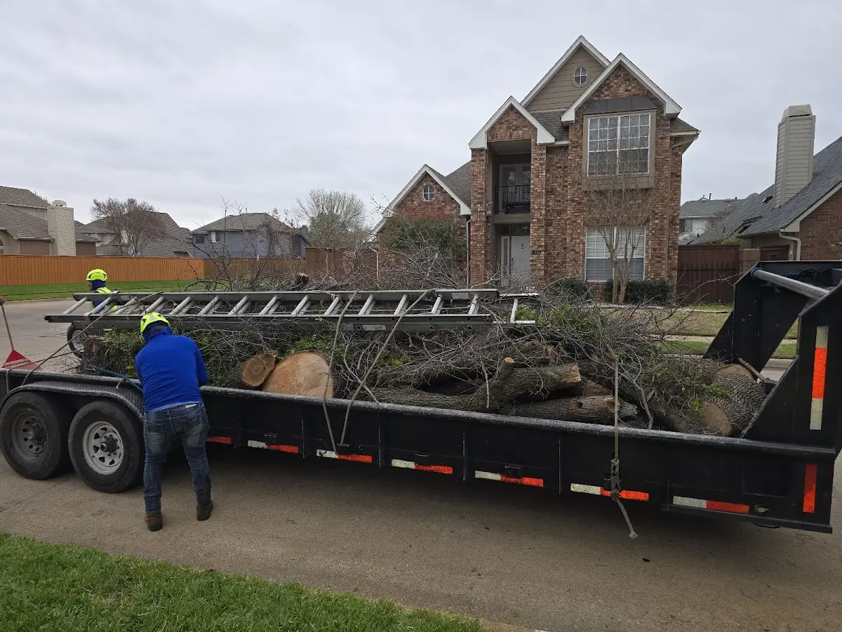 Expert Crown Reduction with proper safety equipment in Breese